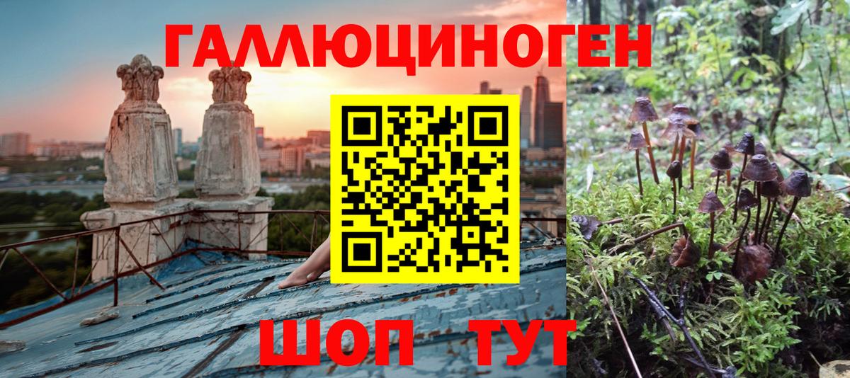 Североморск  Галлюциногенные грибы MAGIC MUSHROOMS  Вход с VPN  Галлюциногенные грибы Cubensis 